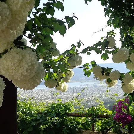 Pensiune Archontiko Stafylopati