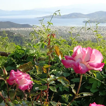 Archontiko Stafylopati Makrinítsa