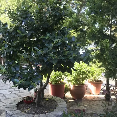 Archontiko Stafylopati 3* Makrinítsa