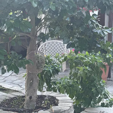 Archontiko Stafylopati Πανσιόν