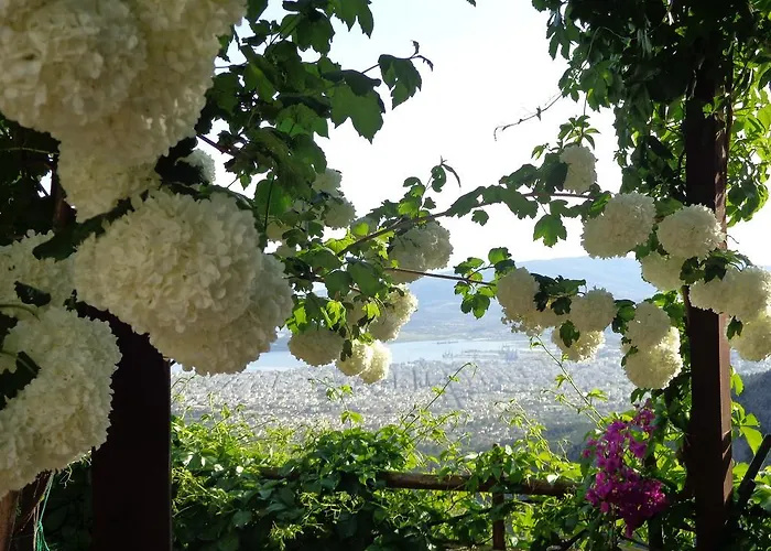 Πανσιόν Archontiko Stafylopati