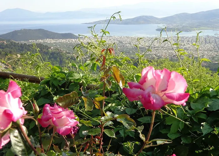 Archontiko Stafylopati Μακρινίτσα