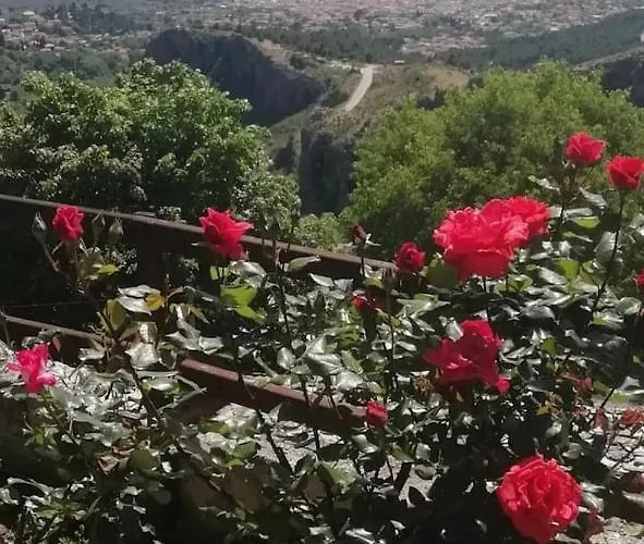 Πανσιόν Archontiko Stafylopati