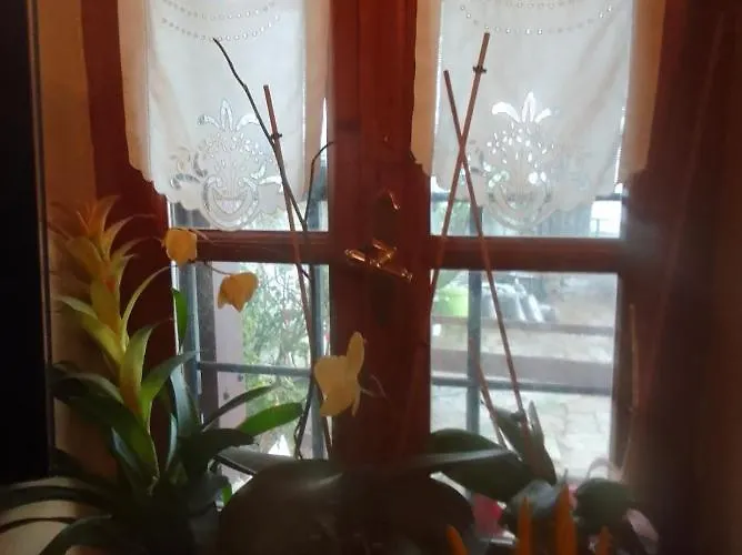 Archontiko Stafylopati