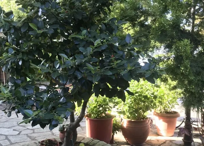 Archontiko Stafylopati 3* Μακρινίτσα